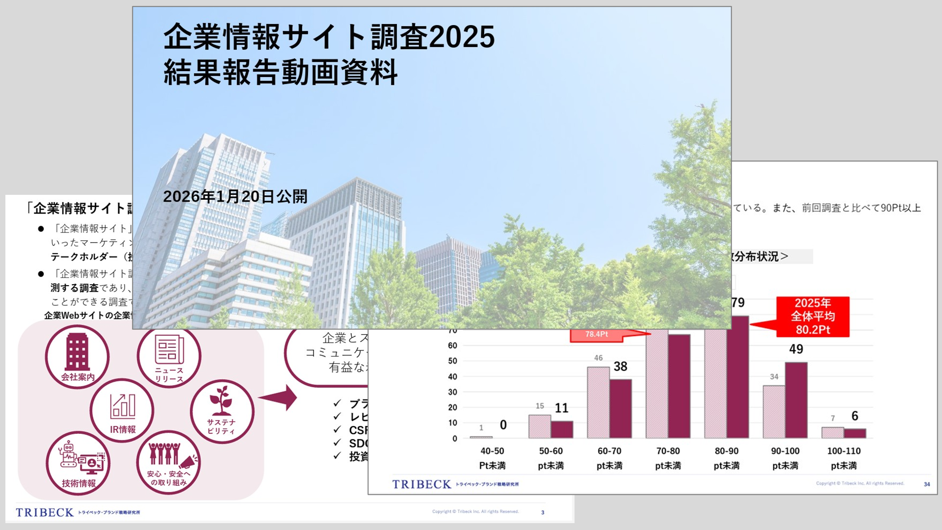 企業情報サイト調査2025 結果報告