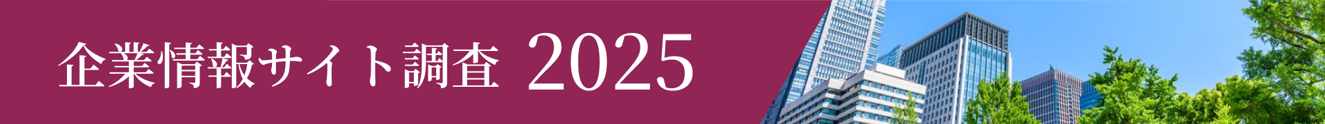 企業情報サイト調査2025 結果報告